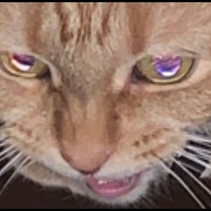 Meet your Posher, Caroline